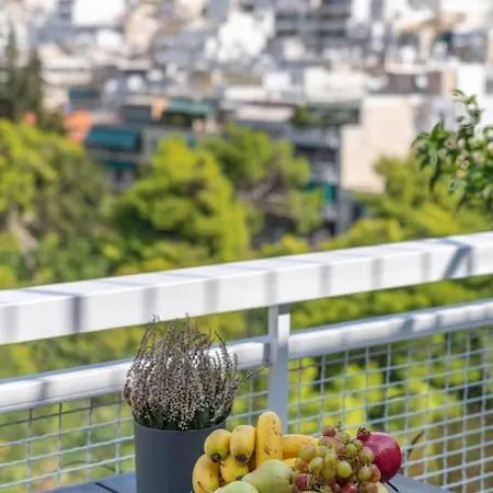 The Hostmaster Vista Loft Apartment